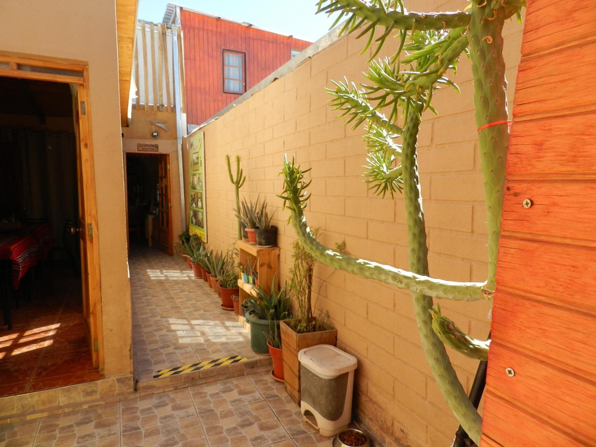Hostal Illari San Pedro de Atacama Exteriér fotografie